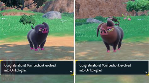 lechonk evolution|Lechonk Evolution: How to Get and Evolve Lechonk